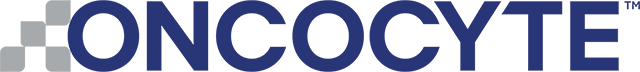 Zoom Logo