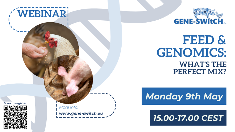 With this webinar we aim to share the progress of GENE-SWitCH work on genomic selection models and impact of diet on animal microbiota. We are looking forward for a fruitful discussion with downstream & upstream actors of the production chain.