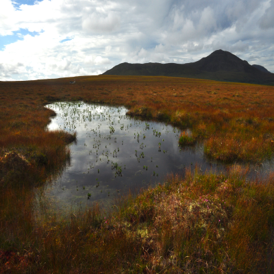 photo of 22 March - Restoring our peatlands: why does it makes economic sense