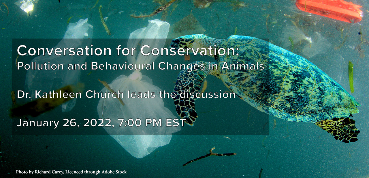 Pollution and Behavioural Changes in Animals, Jan 26, 2022, 7 pm on Zoom